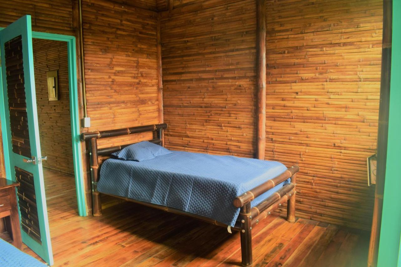 투리알바 Casa De Bambu 빌라 외부 사진
